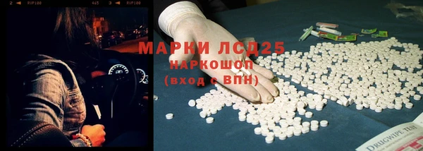 хмурый Алзамай