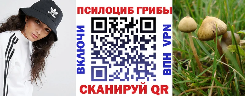 Галлюциногенные грибы ЛСД  гидра   Калининск 